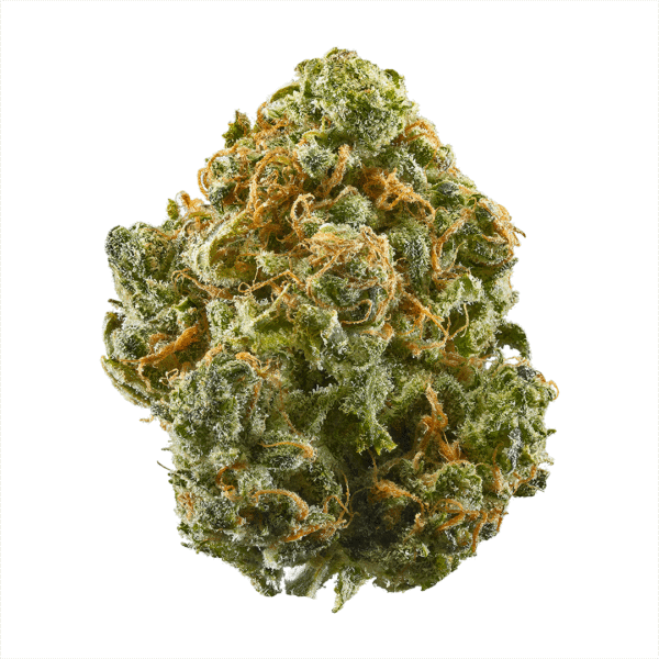 Blue Dream Flower– 4G